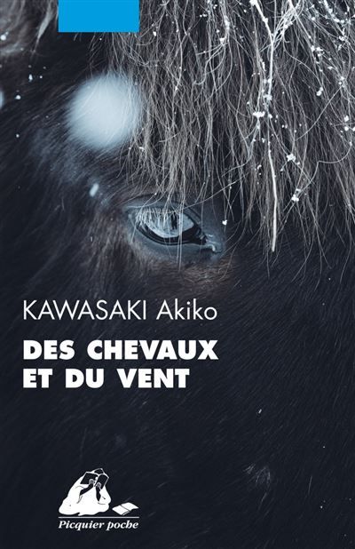 Des Chevaux et du Vent