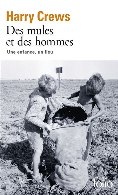 Des mules et des hommes Une enfance, un lieu