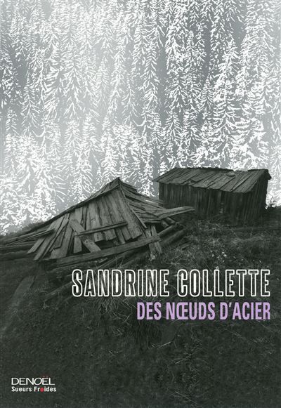 Des noeuds d'acier Grand Prix de Littérature Policière  2013