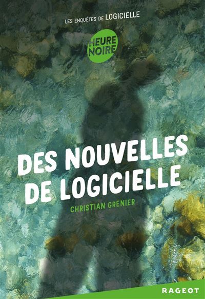 Des nouvelles de Logicielle Les enquêtes de Logicielle