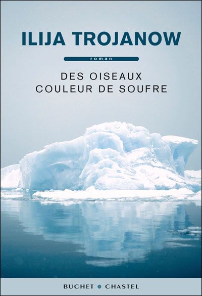 Des oiseaux couleur de soufre