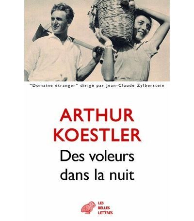 Des voleurs dans la nuit