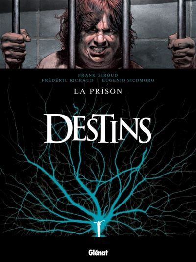 Destins - Tome 12 La Prison