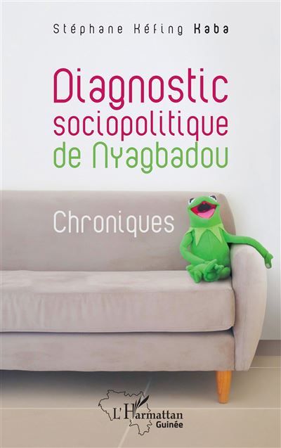 Diagnostic sociopolitique de Nyagbadou Chroniques