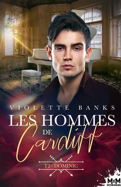 Dominic Les hommes de Cardiff, T2