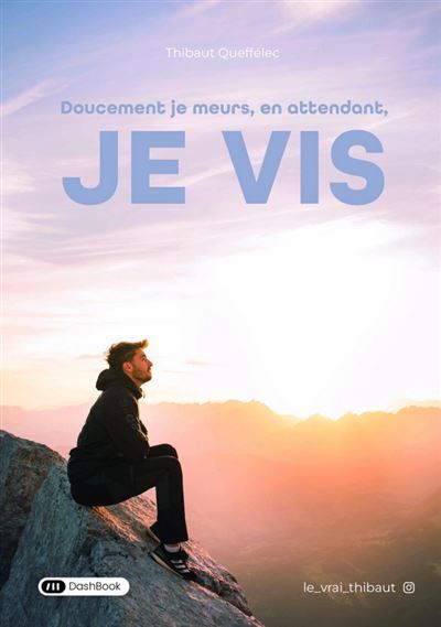Doucement je meurs, en attendant je vis