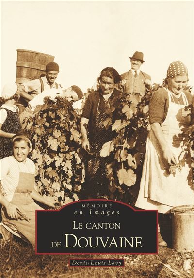 Douvaine (Le canton de)