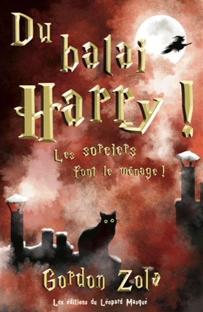Du balai, Harry ! Les sorciers font le ménage !