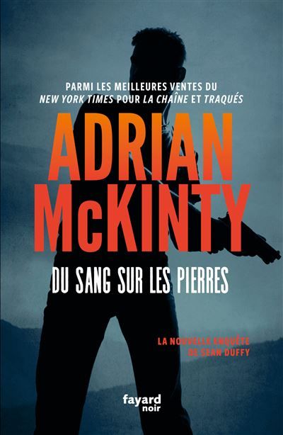 Du sang sur les pierres La nouvelle enquête de Sean Duffy