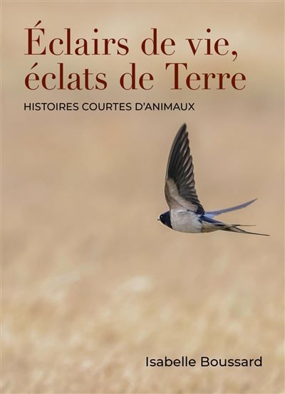 Éclairs de vie, éclats de Terre Histoires courtes d'animaux