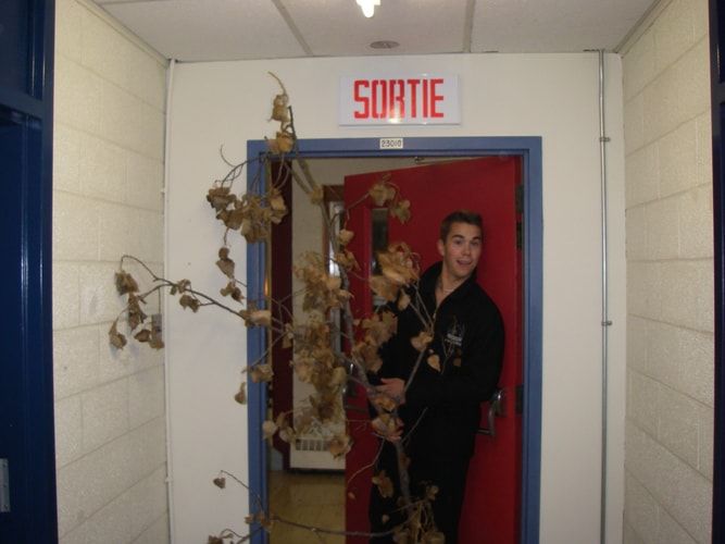 Ecologie