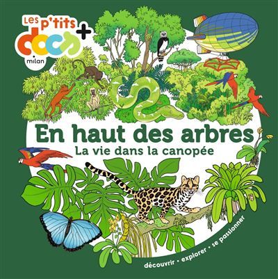 En haut des arbres La vie dans la canopée