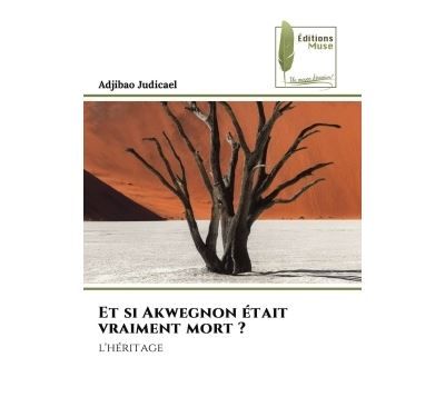 Et si Akwegnon était vraiment mort ? L'héritage