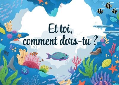 Couverture de Et toi, comment dors-tu ? par Damien Vallot