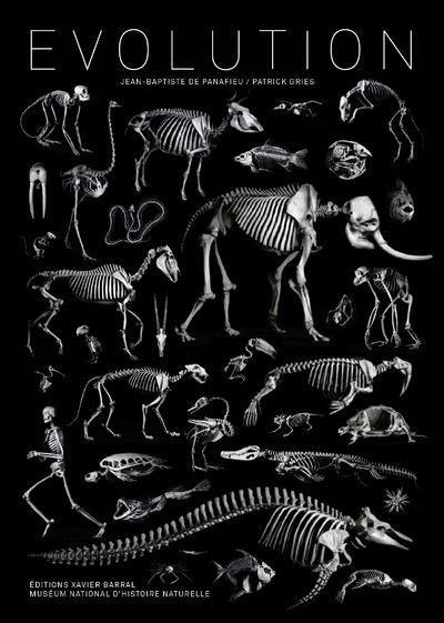 Evolution Petit format