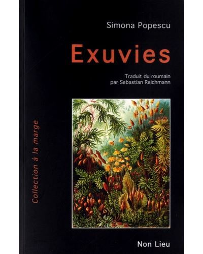 Exuvies