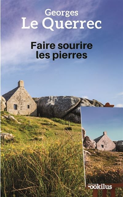 Faire sourire les pierres Édition en gros caractères