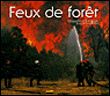 Feux de foret