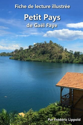 Fiche de lecture illustrée - Petit Pays, de Gaël Faye Résumé et analyse détaillée de l'oeuvre