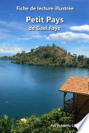 Fiche de lecture illustrée - Petit Pays, de Gaël Faye