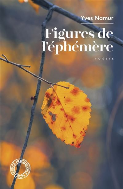 Figures de l'éphémère