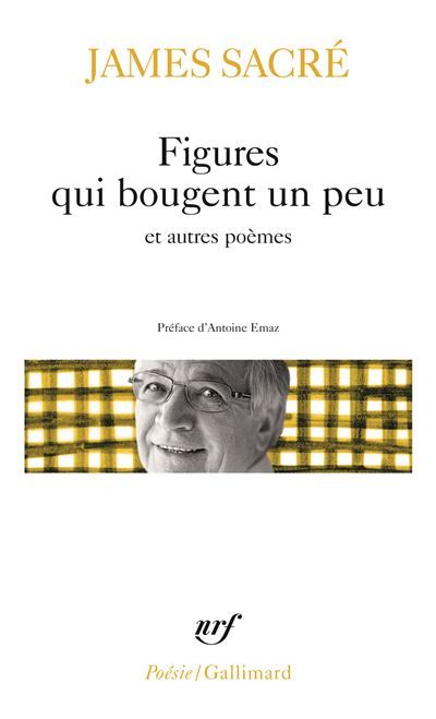 Figures qui bougent un peu et autres poèmes Et Quelque chose de mal raconté