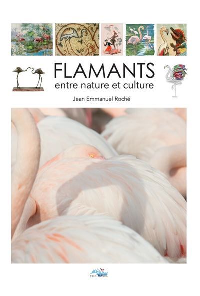 Flamant Entre nature et culture