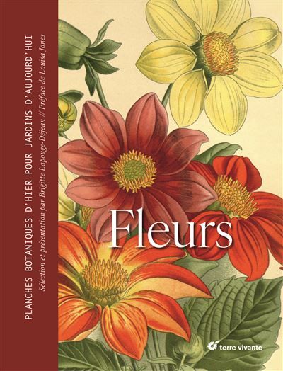 Fleurs Planches botaniques d'hier pour jardins d'aujourd'hui