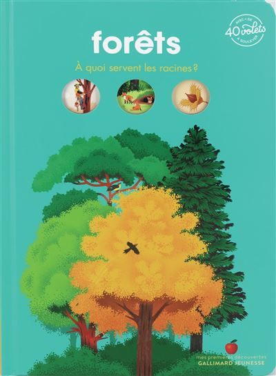 Forêts À quoi servent les racines ?
