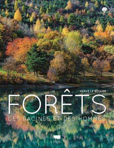 Forêts Des racines et des hommes