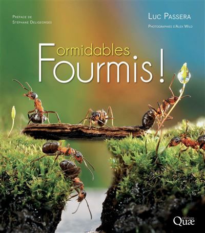 Formidables fourmis ! Un peuple conquérant