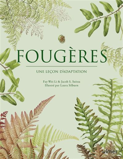 Fougères - Une leçon d'adaptation