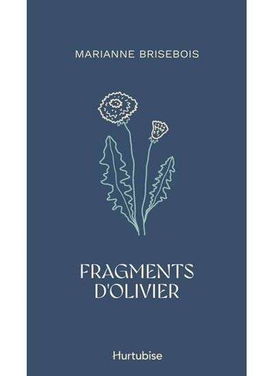 Fragments d'olivier