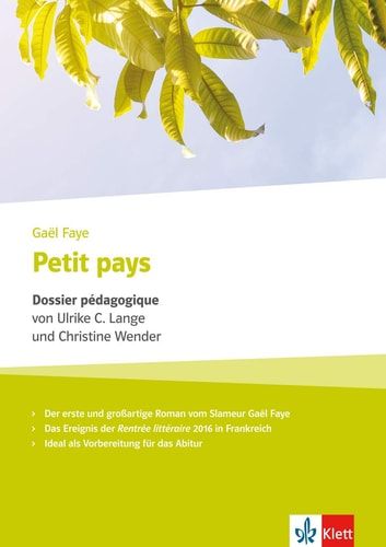 Gaël Faye, Petit pays