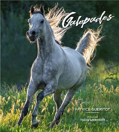 Galopades
