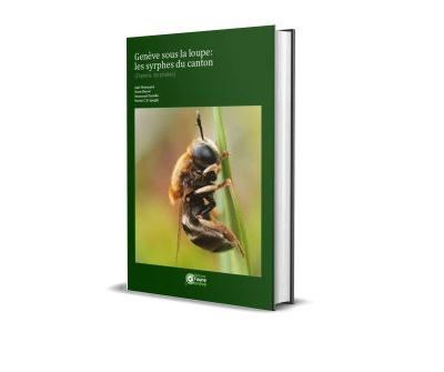 Genève sous la loupe Les syrphes du canton (Diptera, Syrphidae)