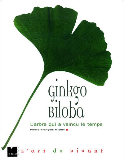 Ginkgo Biloba - L'arbre qui a vaincu le temps