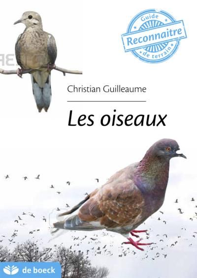 Guide de terrain : les oiseaux