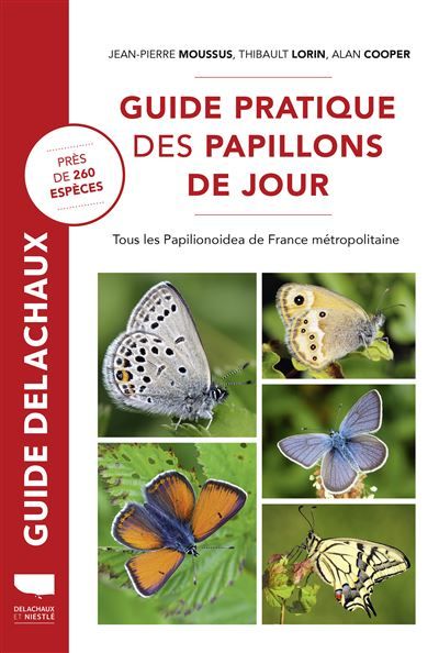 Guide pratique des papillons de jour Tous les Papilionoidea de France métropolitaine