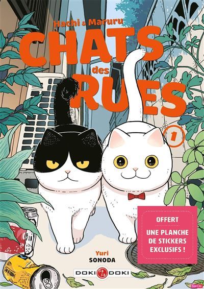 Hachi & Maruru - Chats des rues - vol. 01 - nouvelle édition limitée