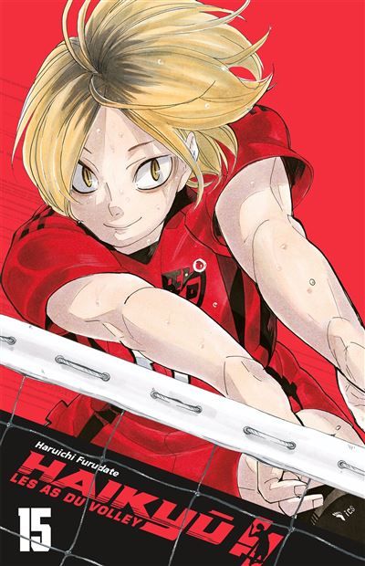 Haikyu!! - édition smash t15
