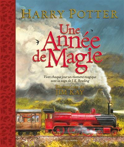 Harry Potter - Une année de magie Vivez chaque jour un moment magique