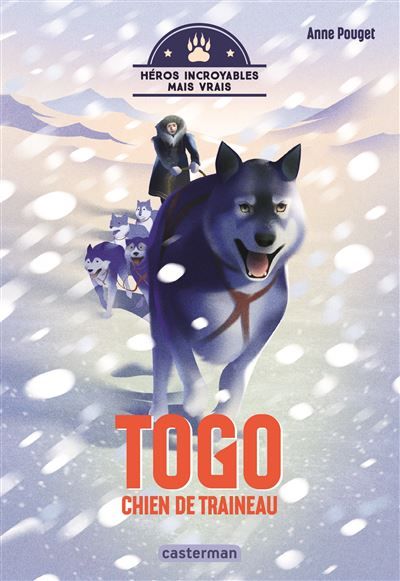Héros incroyables mais vrais - Togo, chien de traîneau