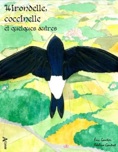 Hirondelle, coccinelle et quelques autres