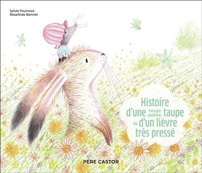 Histoire d'une toute petite taupe et d'un lièvre très pressé