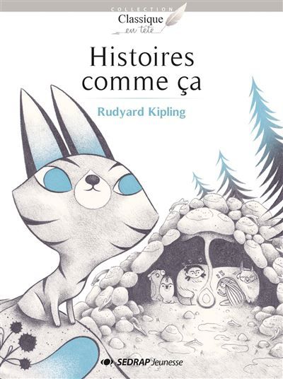 Histoires comme ca - roman