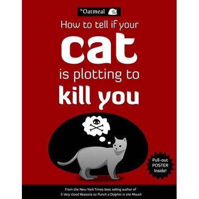 How to tell if your cat is plotting to kill you
