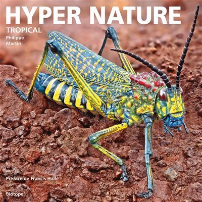 Hyper nature - tropical