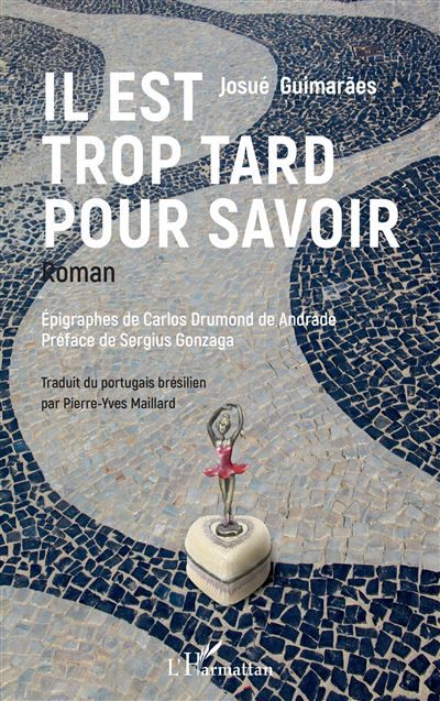 Il est trop tard pour savoir Roman