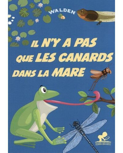 Il n'y a pas que les canards dans la mare